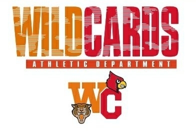 wildcards